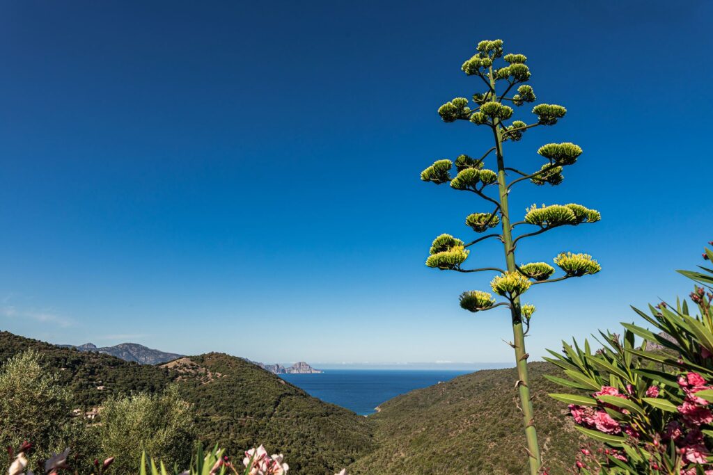 Location Van aménagés Corse Bastia (5)