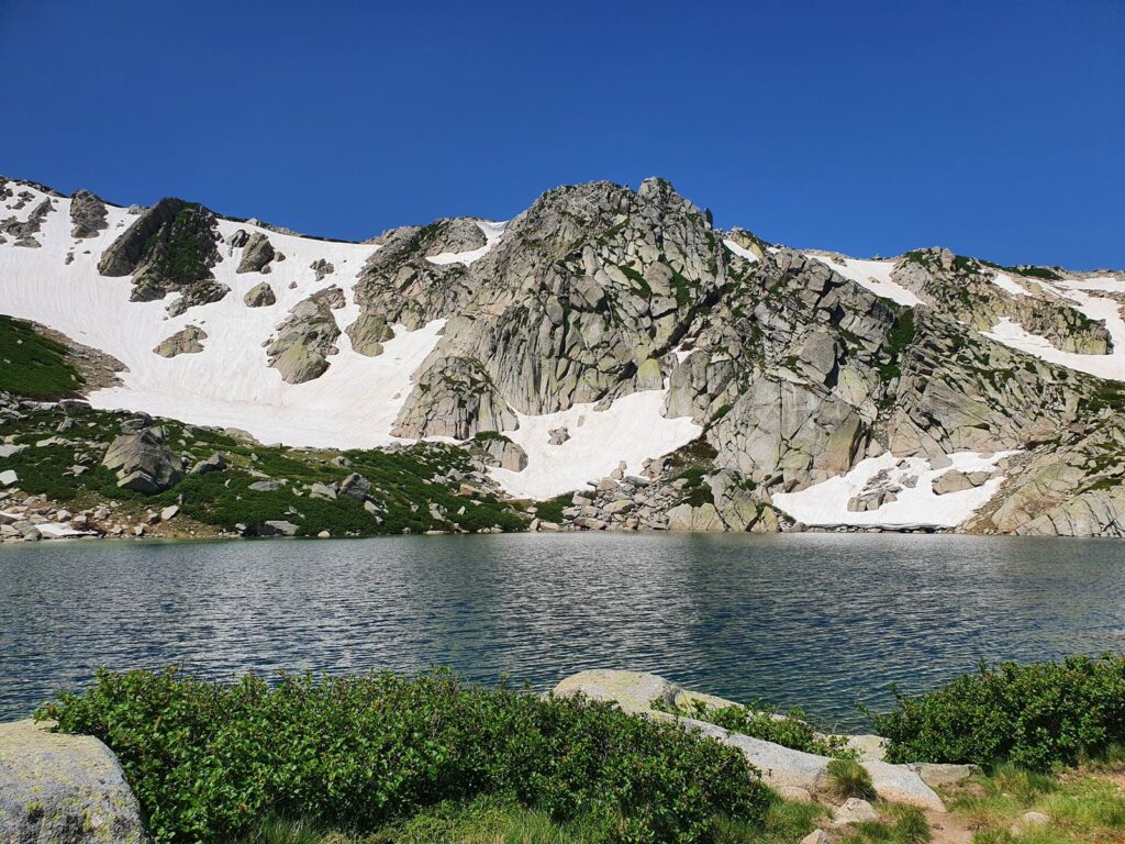 coeur de la corse du sud (3)